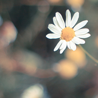 哪里买最放心的ddos压力测试网页端