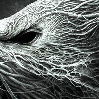 快速故障转移的ddos工具下载